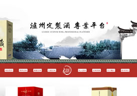 瀘州蜀瀘酒業有限公司 官網上線
