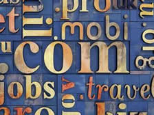 網站域名