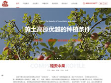 延安中果生態農業科技有限公司 正式上線