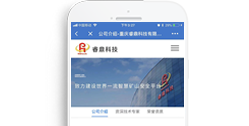 重慶睿鼎科技有限公司【手機版】
